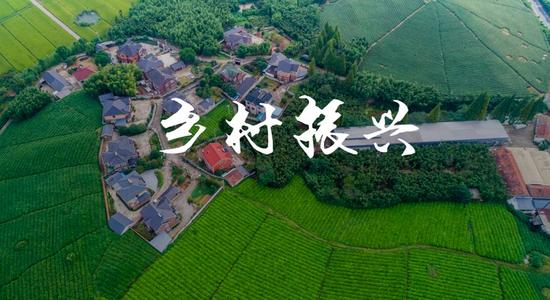 我院参与设计美丽乡村规划建设 《乡村振兴》项目